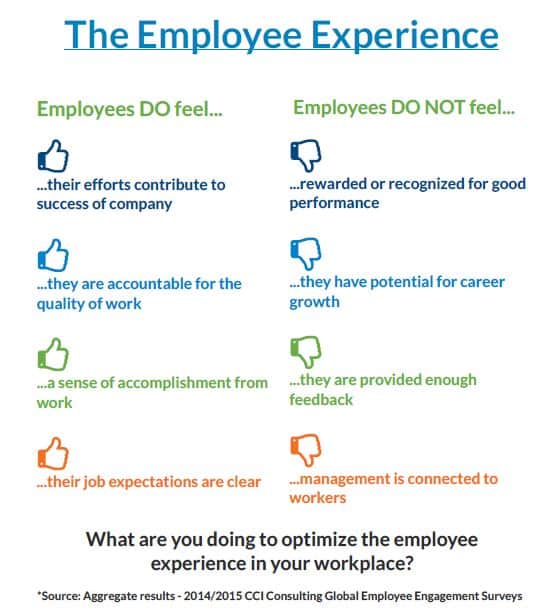 The Employee Experience