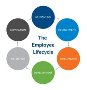 The employee lifecycle