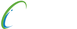 CCI Consulting Logo